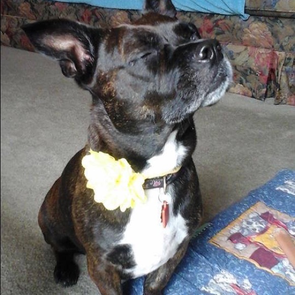 I lint roll everything before shipping. - Picture 2 of 4